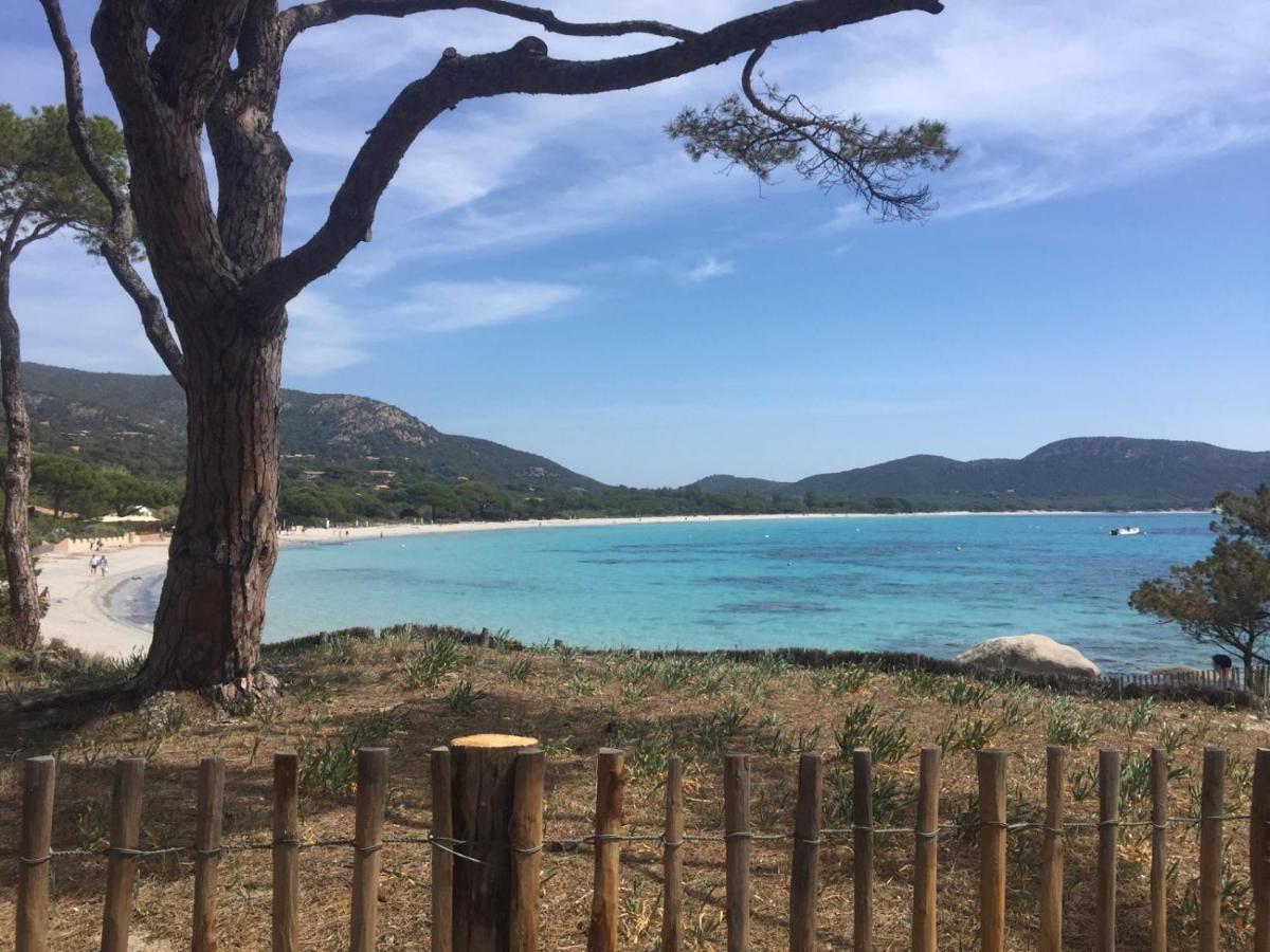Residence Saint Cyprien Plage 포르토베쉬오 외부 사진